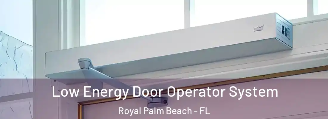 Low Energy Door Operator System Royal Palm Beach - FL